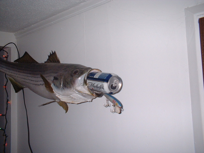 2005_1218AA.JPG